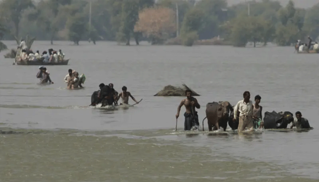 سندھ میں سیلاب: گھوٹکی میں 20 سے زائد دیہات زیر آب، بالائی سندھ میں کچے کے کئی گاؤں ڈوب گئے