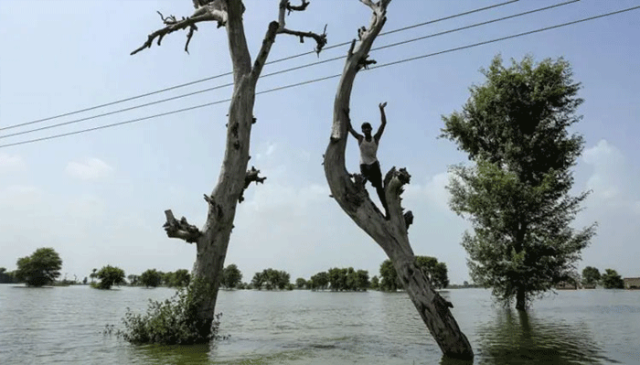 پنجاب اور سندھ میں سیلابی صورتحال سنگین، لاکھوں افراد متاثر، فصلیں تباہ
