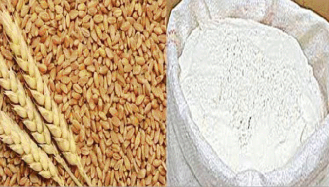 پنجاب میں گندم ذخیرہ اندوزوں کے خلاف کریک ڈاؤن، مصنوعی بحران بے نقاب
