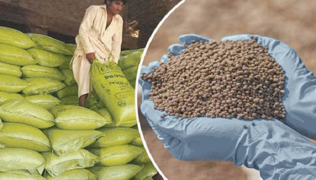 بدین میں کروڑوں روپے مالیت کی کھاد کی 45 ہزار بوریاں برآمد
