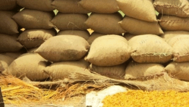روات کے قریب ذخیرہ کی گئی 6 ہزار ٹن سے زائد گندم برآمد، فیڈ مل سیل