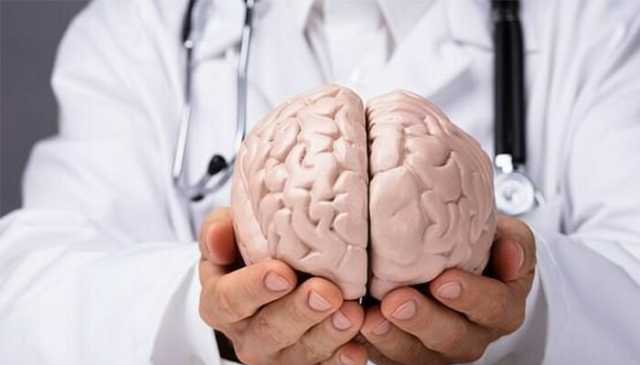 سائنس دان لیبارٹری میں انسانی دماغ کی کاپی بنانے میں کامیاب