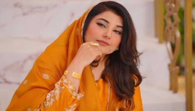 گھریلو ملازمہ قیمتی سامان ڈسٹ بن میں چھپا کر چوری کرتی رہی،جویریہ سعود