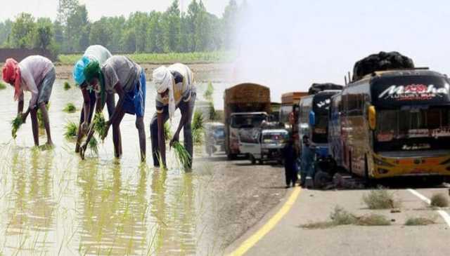 چاول کی قیمتوں میں کمی پر بدین کے آبادگاروں کا احتجاج، شاہراہ بند