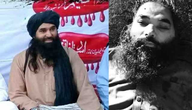 پاکستان میں دراندازی کی کوشش ناکام، کالعدم تنظیم کے اہم کمانڈر سمیت 4 دہشتگرد مارے گئے