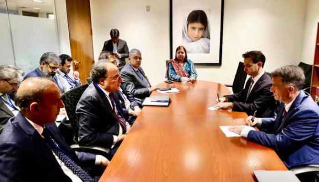 وزیر خزانہ محمد اورنگزیب کی امریکی کمپنیوں کو اہم شعبوں میں سرمایہ کاری کی دعوت