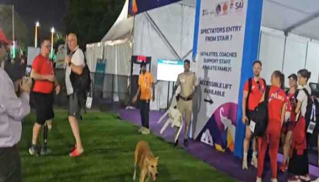 بھارتی دارالحکومت دہلی کے اسٹیڈیم میں آوارہ کتوں کا راج، دو مہمان کوچز کو کاٹ لیا