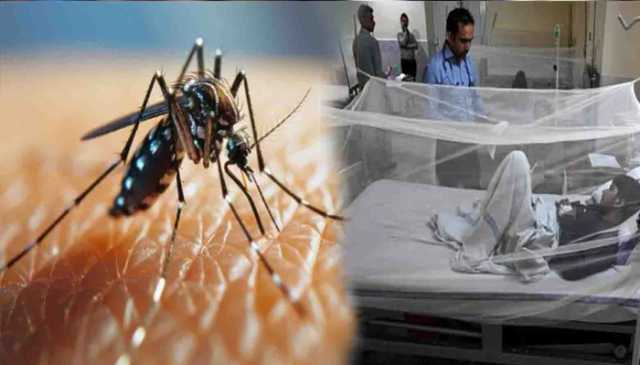 راولپنڈی میں موسم کی تبدیلی سے ڈینگی کے کیسز میں کمی
