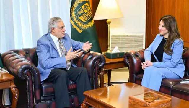 اسحاق ڈار سے امریکی ناظم الامور کی ملاقات، مشرق وسطیٰ میں امن و استحکام کیلئے پاکستان کی مسلسل شمولیت پر زور