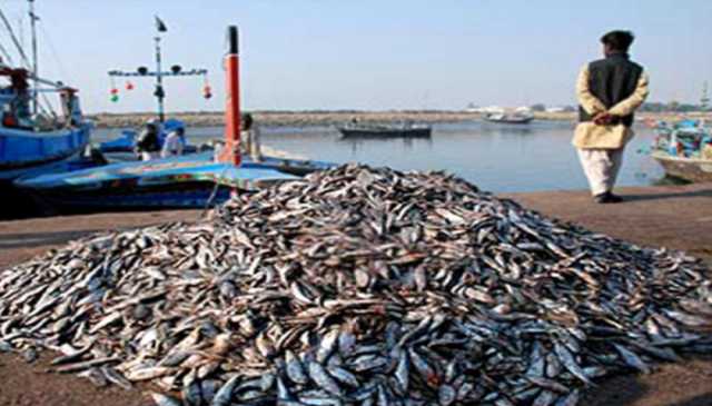 کراچی فش ہاربر پر ماہی گیروں کے مسائل ترجیحی بنیادوں پر حل کرنے کا فیصلہ