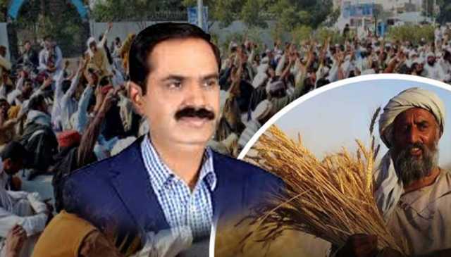 کسان اتحاد پاکستان کا شدید انتباہ: حکومتی نرخ نہ ملا تو گندم کی کاشت ٹھپ ہو جائے گی