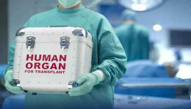 راولپنڈی: مزدور کو کام کے بہانے ساتھ لے جاکر گردہ نکالے جانے کا انکشاف