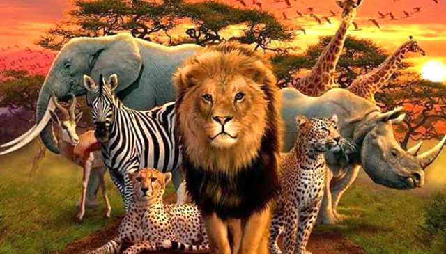 پنجاب میں جنگلی حیات کے تحفظ کے لیے نئے قوانین اور جرمانوں میں اضافہ