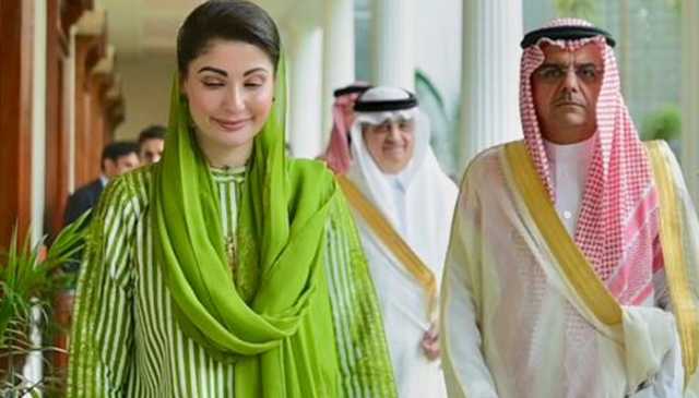 پنجاب سرمایہ کاری کا مرکز ہے، سعودی سرمایہ کاروں کو پہلے آنا چاہیے تھا، — سعودی شہزادہ منصور