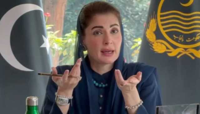 پاکستان میں کاروبار کرنا مشکل، رکاوٹیں کھڑی کرنا آسان ہے، وزیراعلیٰ پنجاب