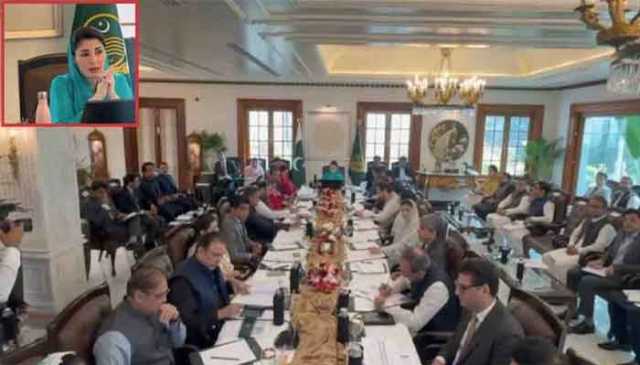 وزیراعلیٰ مریم نواز کا دسمبر تک 1115 الیکٹرو بسیں فعال کرنے کا حکم