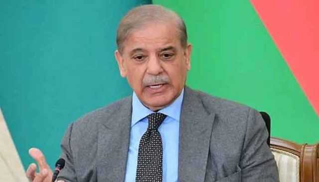 فلسطینی عوام کی آزادی، عزتِ نفس اور خوشحالی پاکستان کے لیے بنیادی حیثیت رکھتی ہے، وزیراعظم
