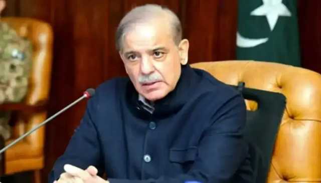 وزیر اعظم شہباز شریف: ترقی اور خوشحالی کے لیے یکجہتی اور بھائی چارہ ضروری ہے
