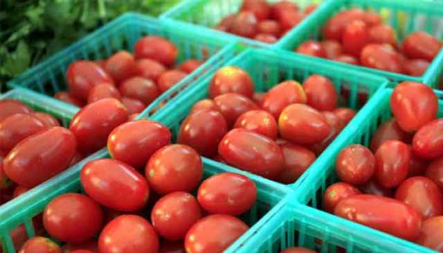 ٹماٹر کی قیمتیں آسمان سے باتیں کرنے لگیں 