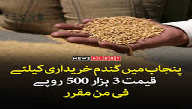 گندم پالیسی کی منظوری ، خریداری قیمت 3500 روپے فی من مقرر