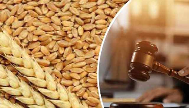 وفاقی آئینی عدالت نے گندم کوٹہ کیس میں سندھ حکومت کے حق میں اہم حکم جاری کر دیا