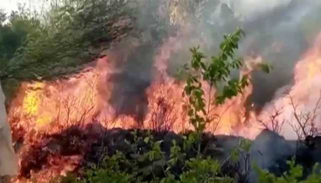 کراچی: بن قاسم موڑ کے قریب آگ، درخت اور گھریلو سامان جل کر خاکستر