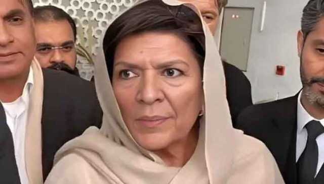 ہمیں گرفتار کرنا چاہتے ہیں تو کرلیں ہم نہیں ڈرتے، علیمہ خان