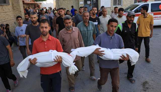 غزہ میں ایک اور سانحہ: زخمی باپ کے لیے لکڑیاں جمع کرنے نکلنے والے دو معصوم بھائی اسرائیلی میزائل کا نشانہ بن گئے