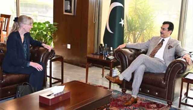 چیئرمین سینیٹ یوسف رضا گیلانی سے جرمن و الجیرین سفیروں کی ملاقاتیں