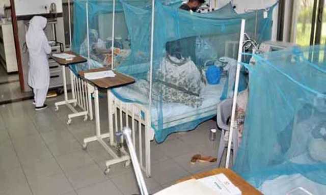 سندھ میں ڈینگی کے بڑھتے کیسز، پی ڈی ایم اے کا امدادی سامان روانہ