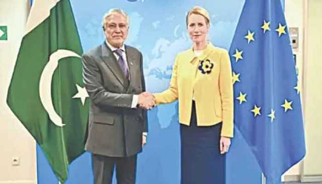 پاکستان، یورپی یونین کا جی ایس پی پلس اسکیم کے ذریعے تجارتی تعلقات مضبوط بنانے پر زور