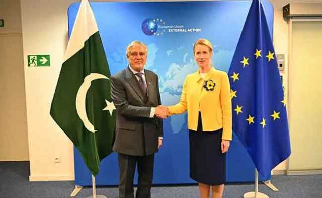 افغانستان اپنے ملک میں دہشتگرد تنظیموں کیخلاف کارروائی کرے، پاکستان،یورپی یونین