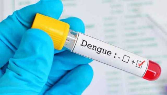 سندھ میں ڈینگی سے مزید 3 مریض جاں بحق