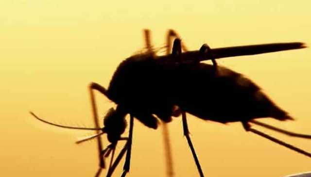 راولپنڈی میں موسمِ سرما کی وجہ سے ڈینگی کا زور ٹوٹنے لگا