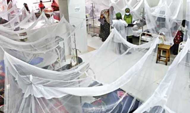 راولپنڈی میں بدلتے موسم کے باوجود ڈینگی کے وار کا سلسلہ جاری