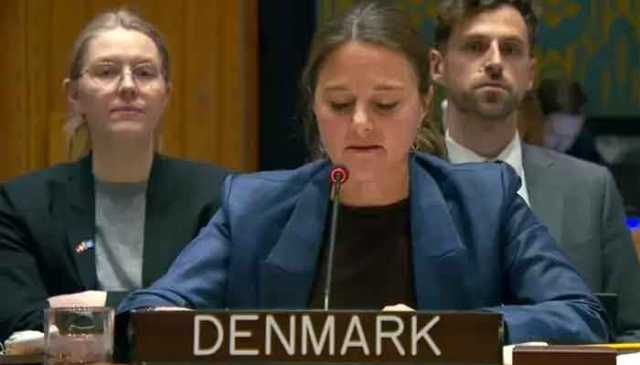 ٹی ٹی پی وسطی اور جنوبی ایشیا کیلئے سنگین خطرہ، عبوری افغان حکام سے تعاون حاصل کررہی ہے، ڈنمارک