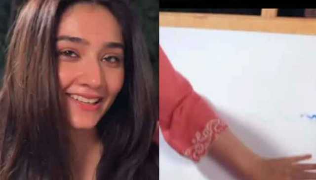 در فشاں سلیم کی 1 کروڑ روپے کی پینٹنگ تیار کرنے کی ویڈیو وائرل