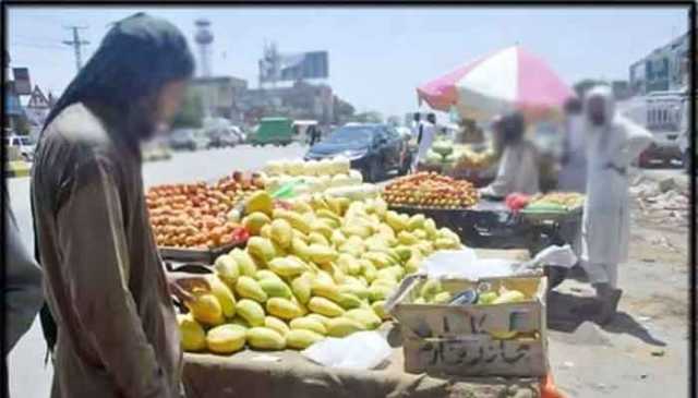 ریڑھی بانوں کے حقوق کی قانونی ضمانت: احساس ریڑھی بان روزگار تحفظ بل 2025 تیار