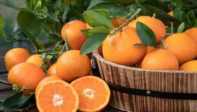 وٹامن سی کا خزانہ: سنترہ کھانے کا صحیح وقت کون سا ہے؟