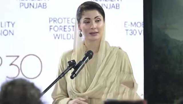 موسمیاتی تبدیلی کا مقابلہ کرنے کے لیے عالمی تعاون ناگزیر ہے،مریم نواز