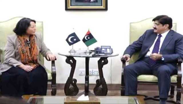 ایشیائی ترقیاتی بینک کی سندھ میں ترقیاتی منصوبوں کیلئے اضافی فنڈز کی یقین دہانی