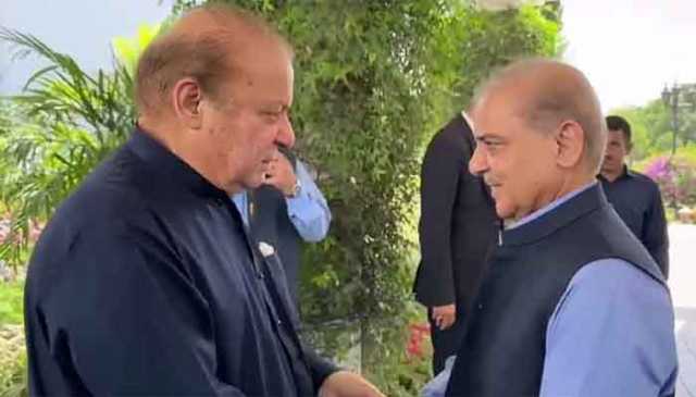 جاتی امراء ، شہباز نواز شریف ملاقات،سیاسی صورتحال پر مشاورت