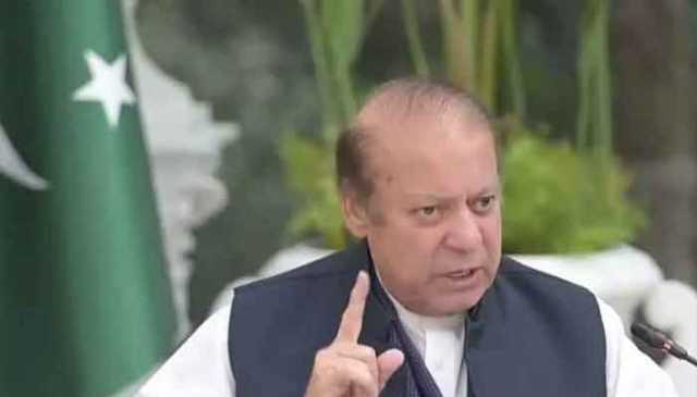 ضمنی الیکشن کامیابی حق اور سچ کی جیت، نفرت و فتنہ کو شکست ہوئی: نوازشریف