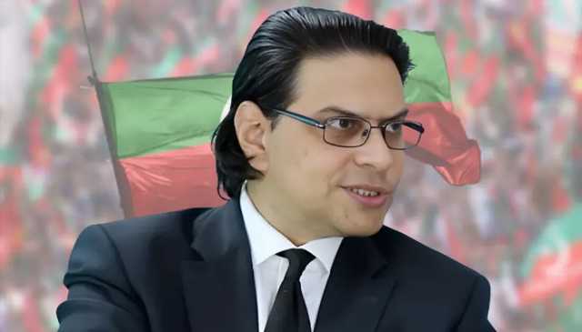 پی ٹی آئی وفاقی آئینی عدالت کے بائیکاٹ پر پارٹی میں مشاورت کرے گی، سلمان اکرم راجا