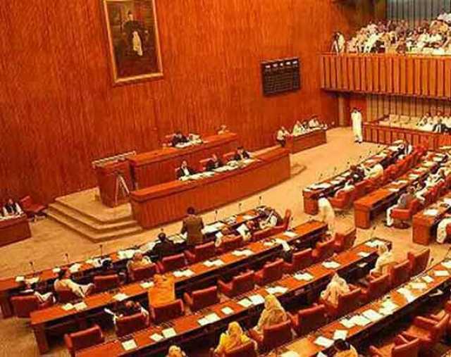 سینیٹ میں گھریلو تشدد اور ٹرانسجینڈرز کے حقوق سے متعلق بل منظور