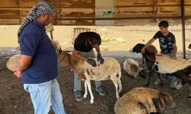 انتہا پسند یہودیوں کے ظلم سے جانور بھی غیرمحفوظ