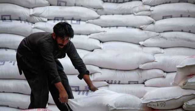 وفاقی حکومت کا شوگر سیکٹر مکمل ڈی ریگولیٹ کرنے کا فیصلہ، پنجاب میں 27 شوگر ملز نے کرشنگ شروع کردی