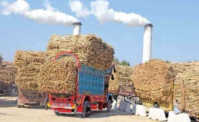 ملکی ترقی میں رکاوٹ،آئی ایم ایف نے شوگر ملز مافیا کو بے نقاب کردیا: ممتاز چانگ