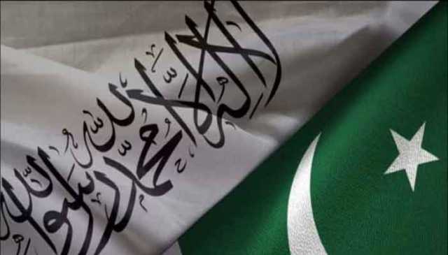 پاک سعودی اقتصادی تعاون کیلئے پنجاب حکومت کی اہم پیشرفت، اسٹیئرنگ کمیٹی تشکیل