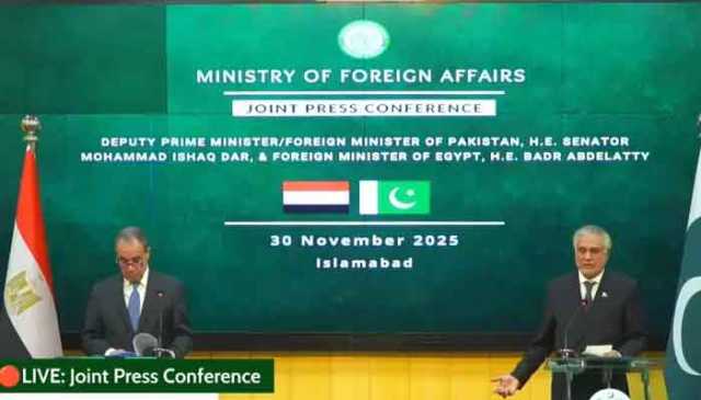 پاکستان دوطرفہ تجارت کے فروغ کیلئے مصر کے ساتھ 250 کاروباری اداروں کی فہرست شیئر کرے گا، اسحٰق ڈار